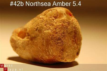 #42 Ruwe Barnsteen Natural Amber Bernstein - 1