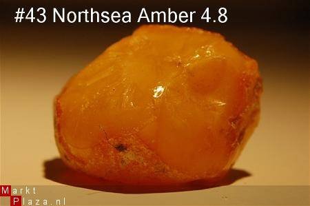 #43 Ruwe Barnsteen Natural Amber Bernstein - 1