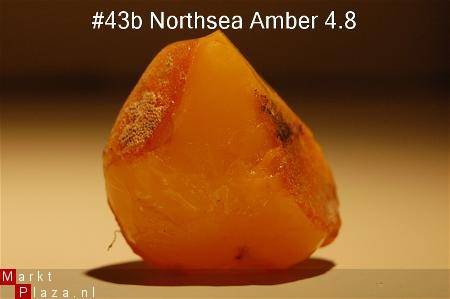 #43 Ruwe Barnsteen Natural Amber Bernstein - 1
