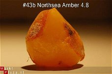 #43 Ruwe Barnsteen Natural Amber Bernstein