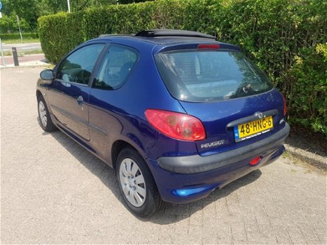 Peugeot 206 - 1.1 XR Vouwdak Open Dak APK t/m 15-12-2019 - 1