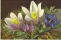 Alpen bloemen - 1 - Thumbnail