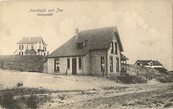 Noordwijk aan Zee, duingezicht - 1