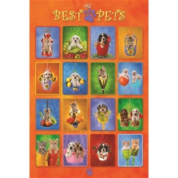 Best Pets poster bij Stichting Superwens! - 1