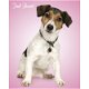 Jack Russell poster bij Stichting Superwens! - 1 - Thumbnail