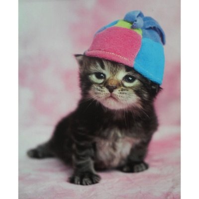 Cat in the Hat poster bij Stichting Superwens! - nr. 1