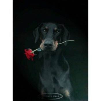 Hondje met Roos poster bij Stichting Superwens! - 1
