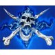 Blue Skull poster bij Stichting Superwens! - 1 - Thumbnail