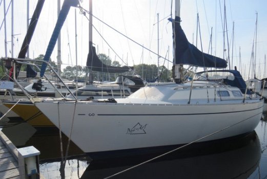 Contessa 28 - 1