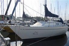 Contessa 28