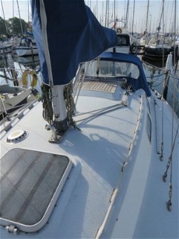 Contessa 28 - 7