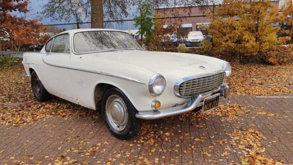 Volvo 1800 - P1800 - 1