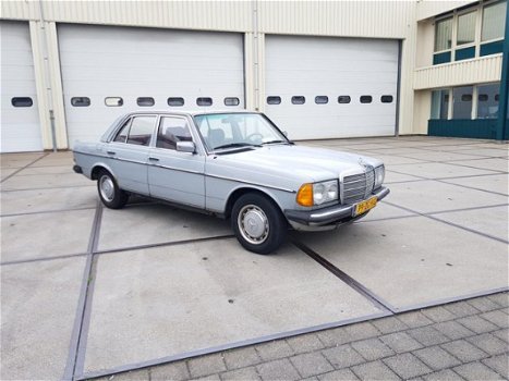 Mercedes-Benz 200-280 (W123) - 200-serie (200 D 1983 ZUINIG EN ZELDZAAM - 1