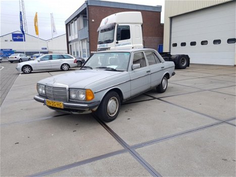 Mercedes-Benz 200-280 (W123) - 200-serie (200 D 1983 ZUINIG EN ZELDZAAM - 1