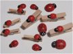 Diverse lieveheersbeestjes met of zonder knijper - 1 - Thumbnail