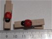 Diverse lieveheersbeestjes met of zonder knijper - 2 - Thumbnail