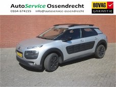 Citroën C4 Cactus - BLUEHDI 100 BUSINESS