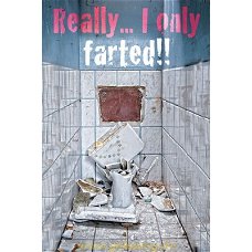 Really... I only farted poster bij Stichting Superwens!