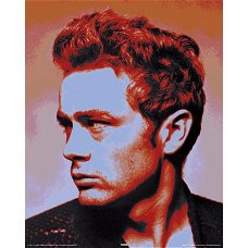 James Dean popart poster bij Stichting Superwens!