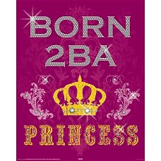 Born 2BA Princess poster bij Stichting Superwens!