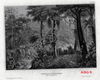 Staalgravures 19e Eeuw Noord-, Midden- en Zuid-Amerika A261-9 t/m A261-16 - 2 - Thumbnail