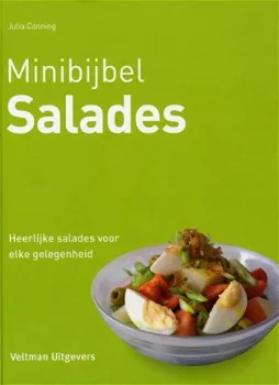 Minibijbel Salades - 0