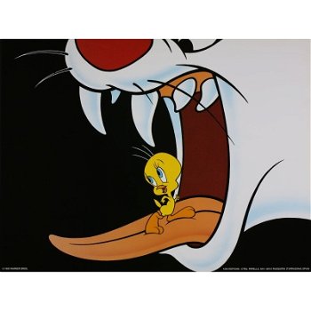 Looney Tunes - Tweety en Sylvester poster bij Stichting Superwens! - 1