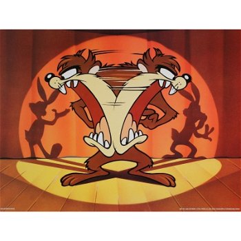 Looney Tunes - Tasmanian Devil - Taz poster bij Stichting Superwens! - 1