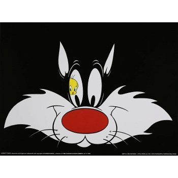 Looney Tunes - Tweety en Sylvester poster bij Stichting Superwens! - 1