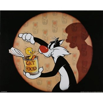 Looney Tunes - Tweety en Sylvester poster bij Stichting Superwens! - 1