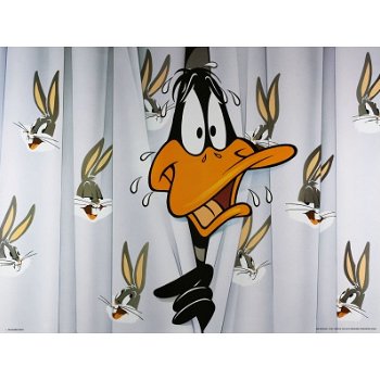 Looney Tunes - Daffy Duck poster bij Stichting Superwens! - 1