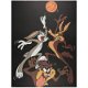 Looney Tunes - Basketbal poster bij Stichting Superwens! - 1 - Thumbnail