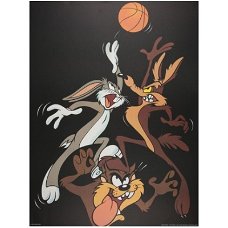 Looney Tunes - Basketbal poster bij Stichting Superwens!