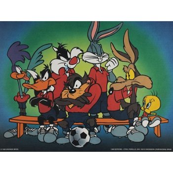 Looney Tunes - Voetbal poster bij Stichting Superwens! - 1