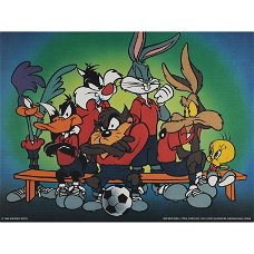 Looney Tunes - Voetbal poster bij Stichting Superwens!