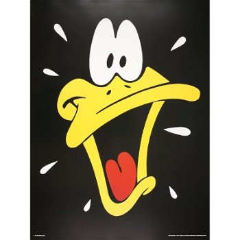 Looney Tunes - Daffy Duck poster bij Stichting Superwens! - 0