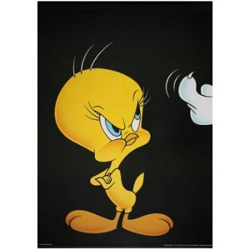 Looney Tunes - Tweety en Sylvester poster bij Stichting Superwens! - 1