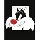 Looney Tunes - Sylvester poster bij Stichting Superwens! - 1 - Thumbnail