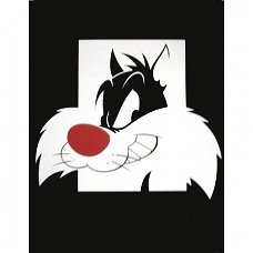 Looney Tunes - Sylvester poster bij Stichting Superwens!