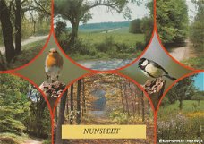 Nunspeet 1983