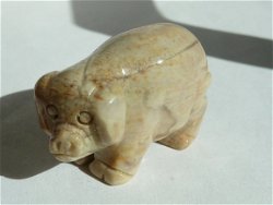 Varken van Jaspis (02)