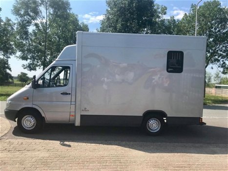 Mercedes-Benz Sprinter - 308 CDI 2.2 300 NUYTS Paardenauto Automaat - 1