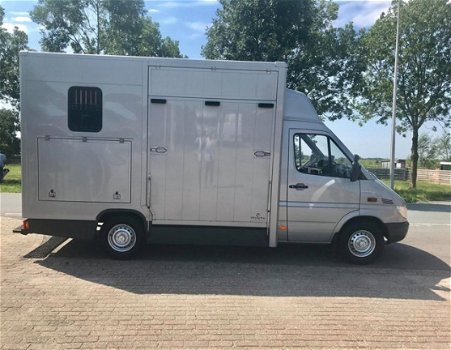 Mercedes-Benz Sprinter - 308 CDI 2.2 300 NUYTS Paardenauto Automaat - 1