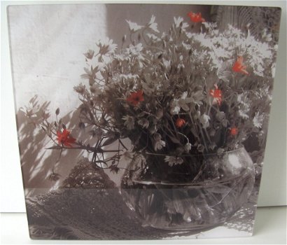 FOTO ACHTER PLEXIGLAS ZOMER BLOEMEN 30x30 cm Nieuw - 1