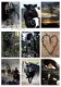 Collage a la Daantje - 1499 - 1 - Thumbnail