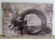 sobere houten landelijk schilderij stoere RAM met hoorns - 2 - Thumbnail