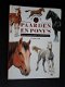 Caroline Ball - Paarden En Pony's (Hardcover/Gebonden) - 1 - Thumbnail