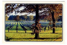 A155 IJsselstein Graf Soldaten Oorlogbegraafplaats / Limburg