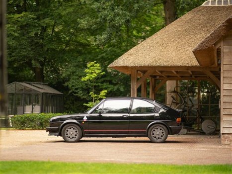 Alfa Romeo Alfasud - 1.5 TI Quadrifoglio - 1