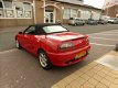 MG F - F 1.8i cabrio.leder intrieur - 1 - Thumbnail